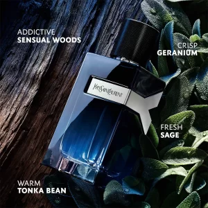 Yves Saint Laurent Y EDP 100ml